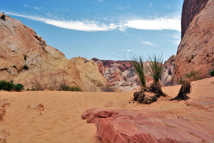 mountain terrain